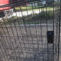 Large Dog Cage30in Tall,27 Wide,44long