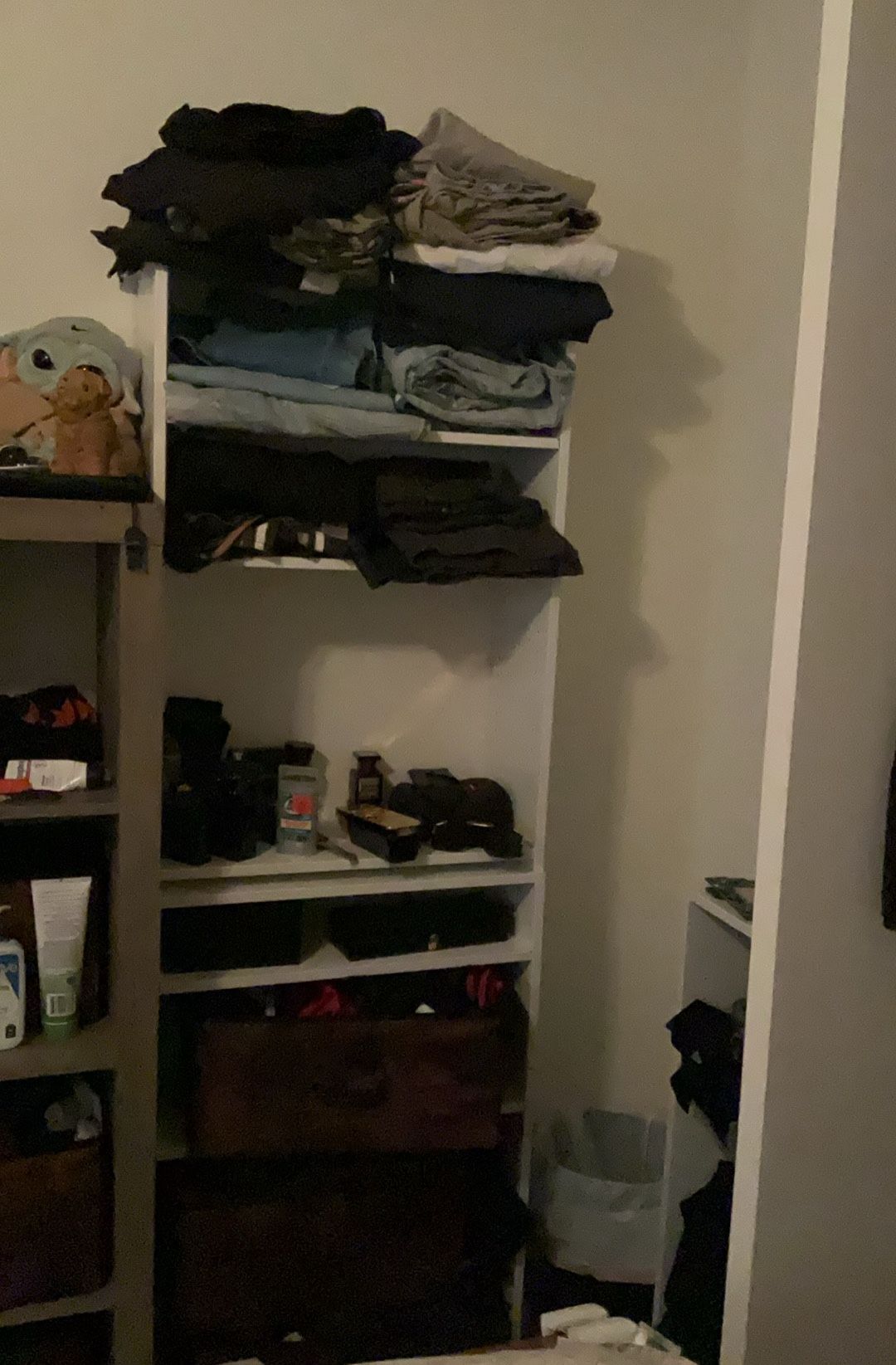 White Book Shelves