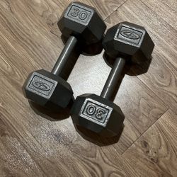 30 lb Dumbbells (2)
