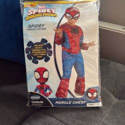 Spidey Costume With Muscles