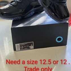 Jordan gammas Size 13 