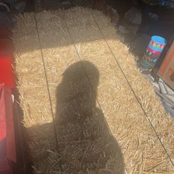 Straw Bale Full Size