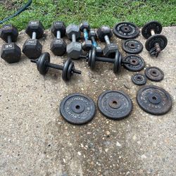 Sport Authority weights