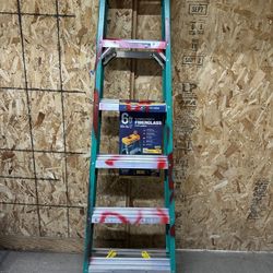 Werner ladder 