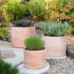 Authentic French Terracotta Cylinder Planters – 3 Sizes