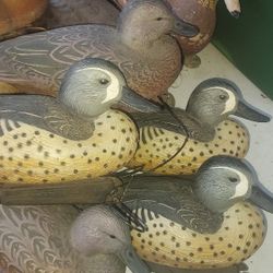 DUCK DECOY'S