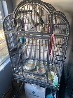 Bird cage and toys