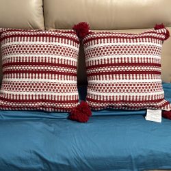 Two 20” Indoor/outdoor Christmas Pillows 🎄🎄🎄