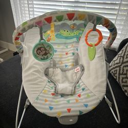 Baby Bouncer