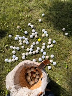 85 Used Golf Balls Mixed Brands + Wooden Tees – Practice Lot