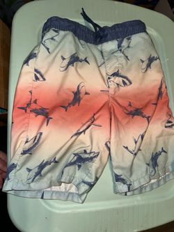 Kids Shark Print Swim Trunks