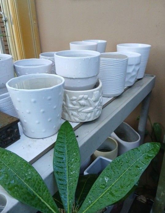 Ceramic Houseplant Pots