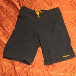 Patagonia Men’s Size 30 Swim Trunks