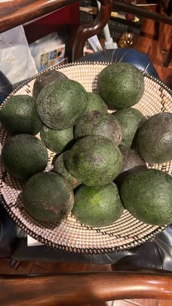 Aguacates Reed