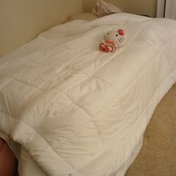 FREE- Full Size Mattress And Bix Spring 