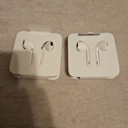 Apple Earbuds (3.5mm Audio Jack)