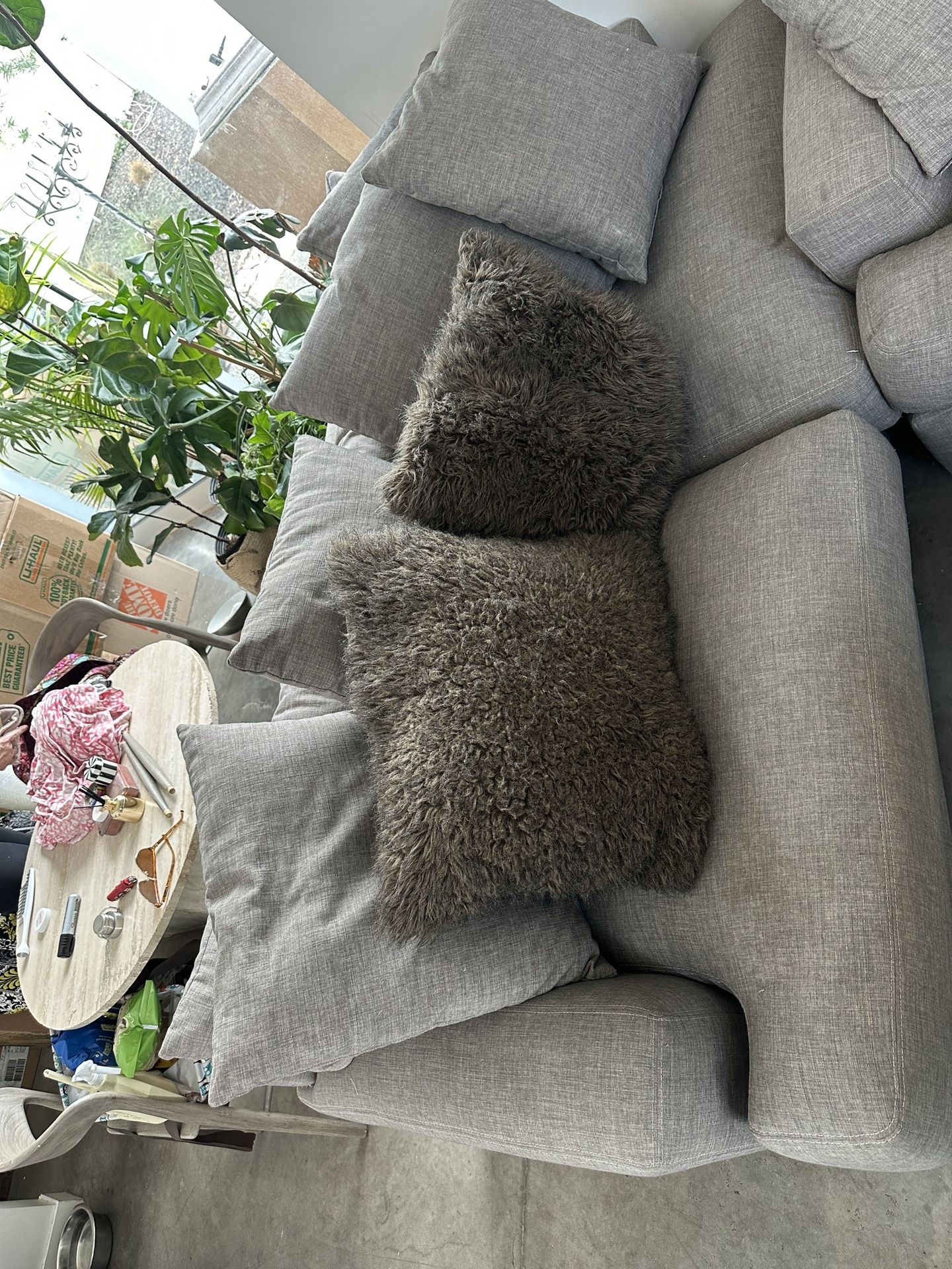 Z Gallery Couches