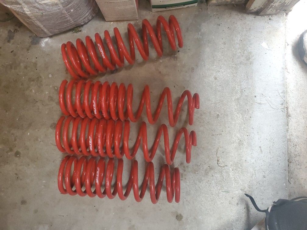 Skunk2 Suspension Coil Springs