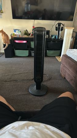 Fan