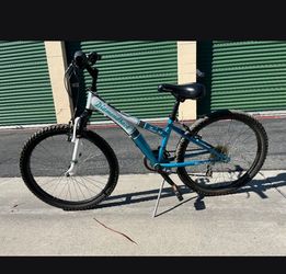 Diamondback Mountain Bike