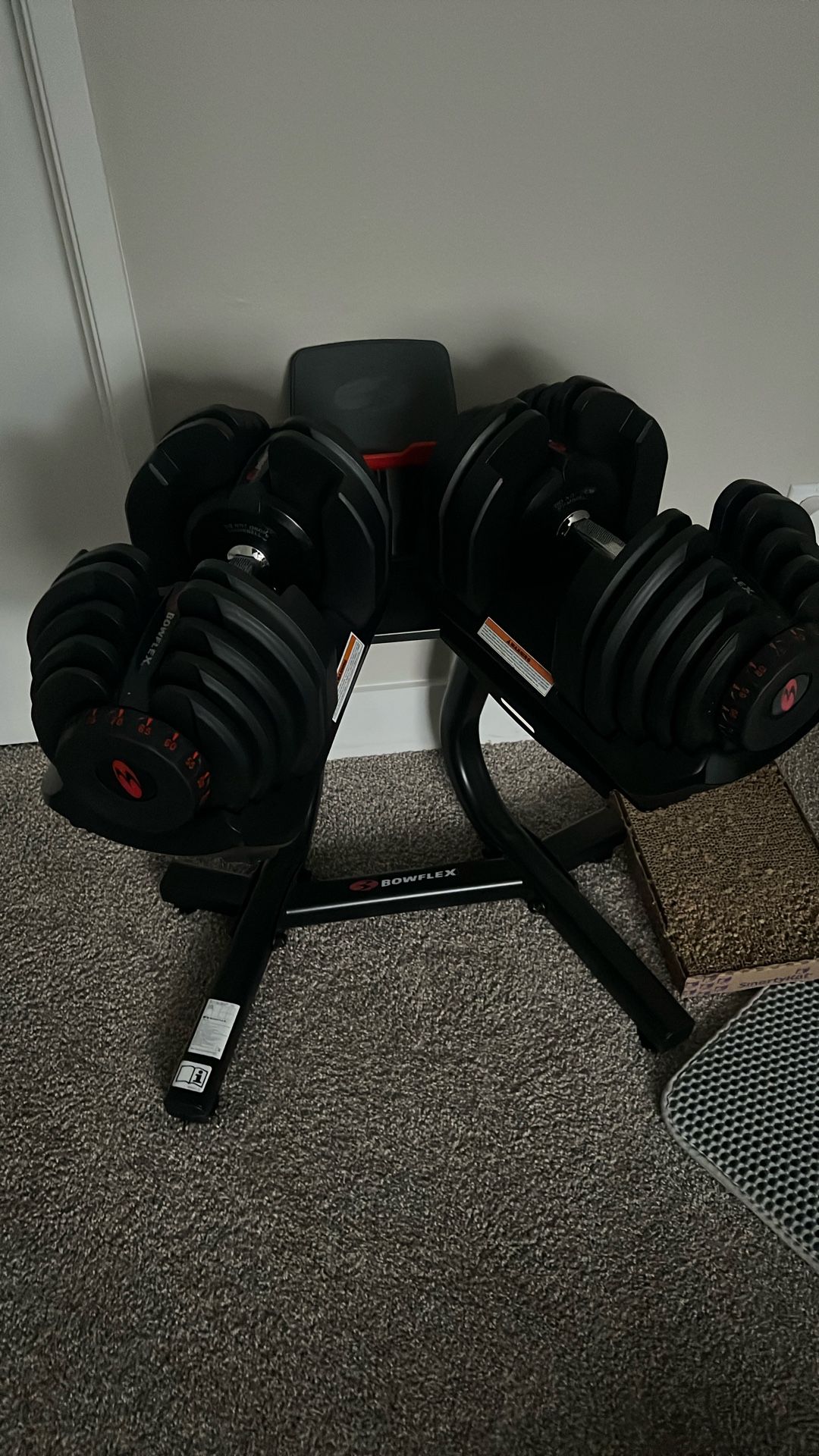 SelectTech Dumbbells 1090