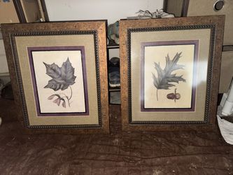 Paintings