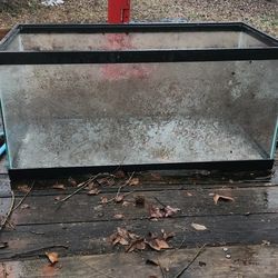 Reptile Tank In Good Shape