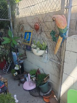 Big plant sale !!!! Open all day !!!!