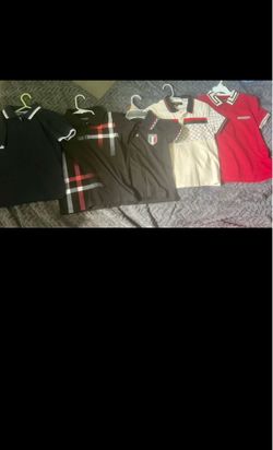 Polo Pavini Shirts
