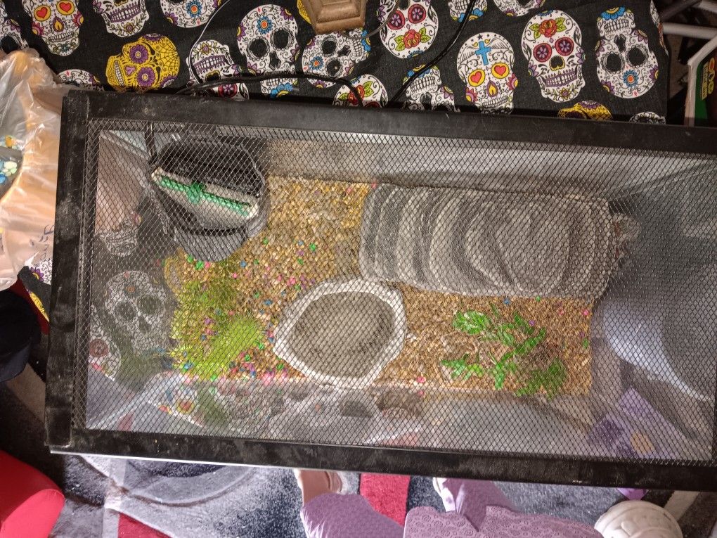 10 Gallon Aquarium Kit