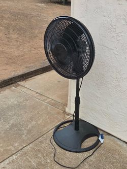 Fan