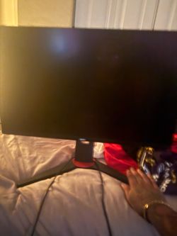 Monitor and microphone