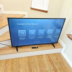 New Cond INSLGNIA 45 INCHES TV  , REMOTE CONTROL  , WORKS EXCELLENT  , IN THE BOX 