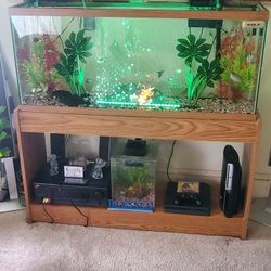 65 Gallon 