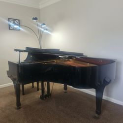 Baby Grand Piano
