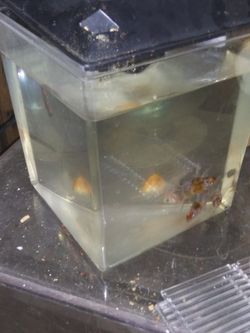 Aquarium