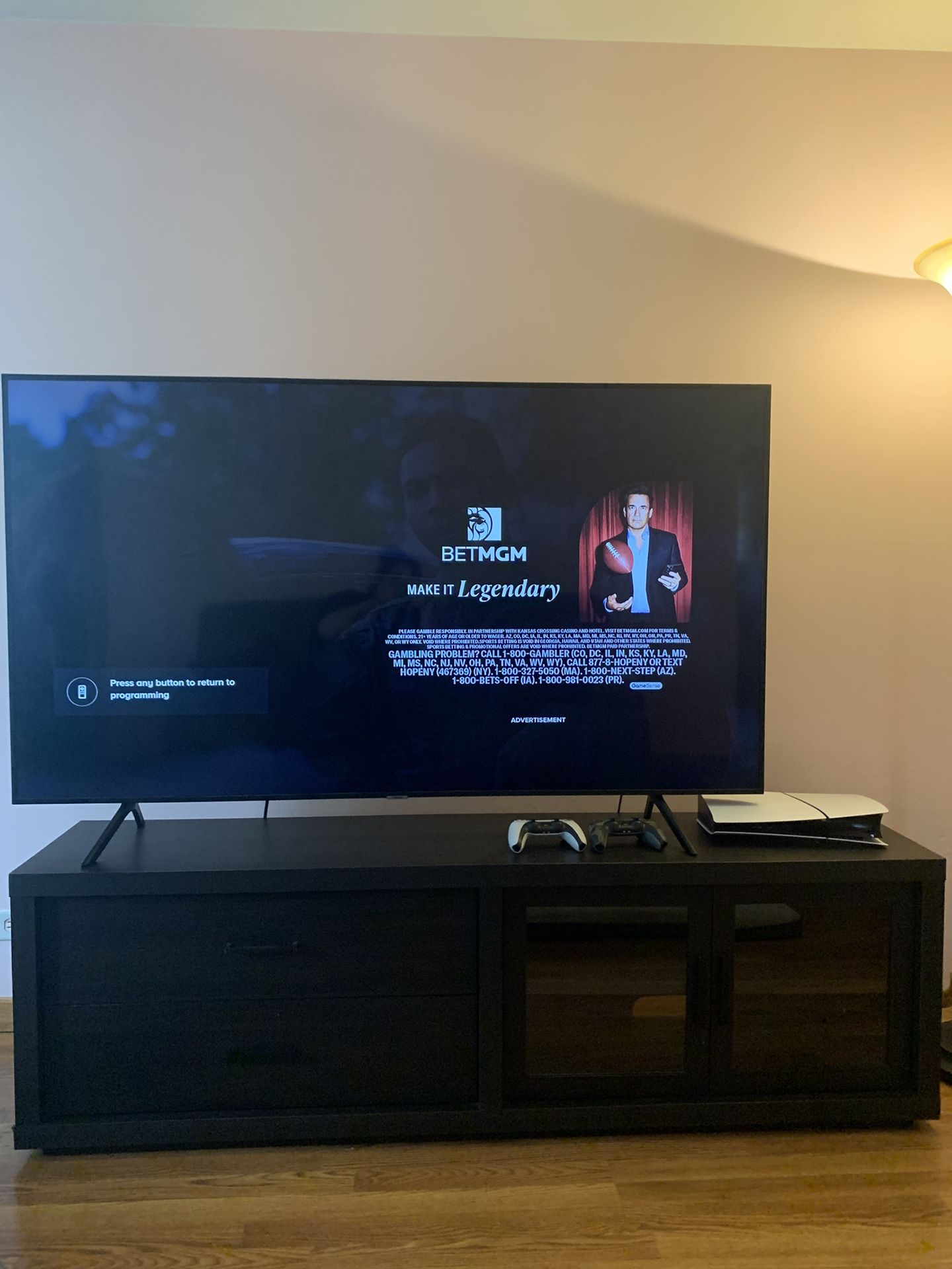 Entertainment Center ONLY