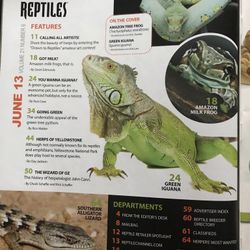 Reptiles Magazine June 2013