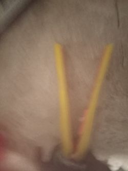 Straightener