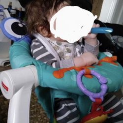 Frog Baby Chair 