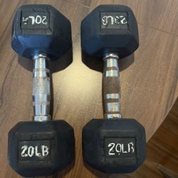 20 lb Dumbbells Pair – Solid Set
