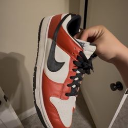 Nike Dunk Chicago 