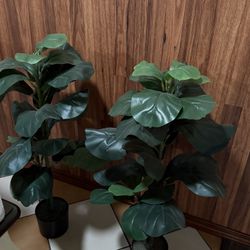 Fake Fig Plant Decor 