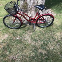 24” Single Speed Cruiser Bike 