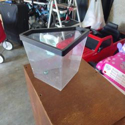 Fish Tank 