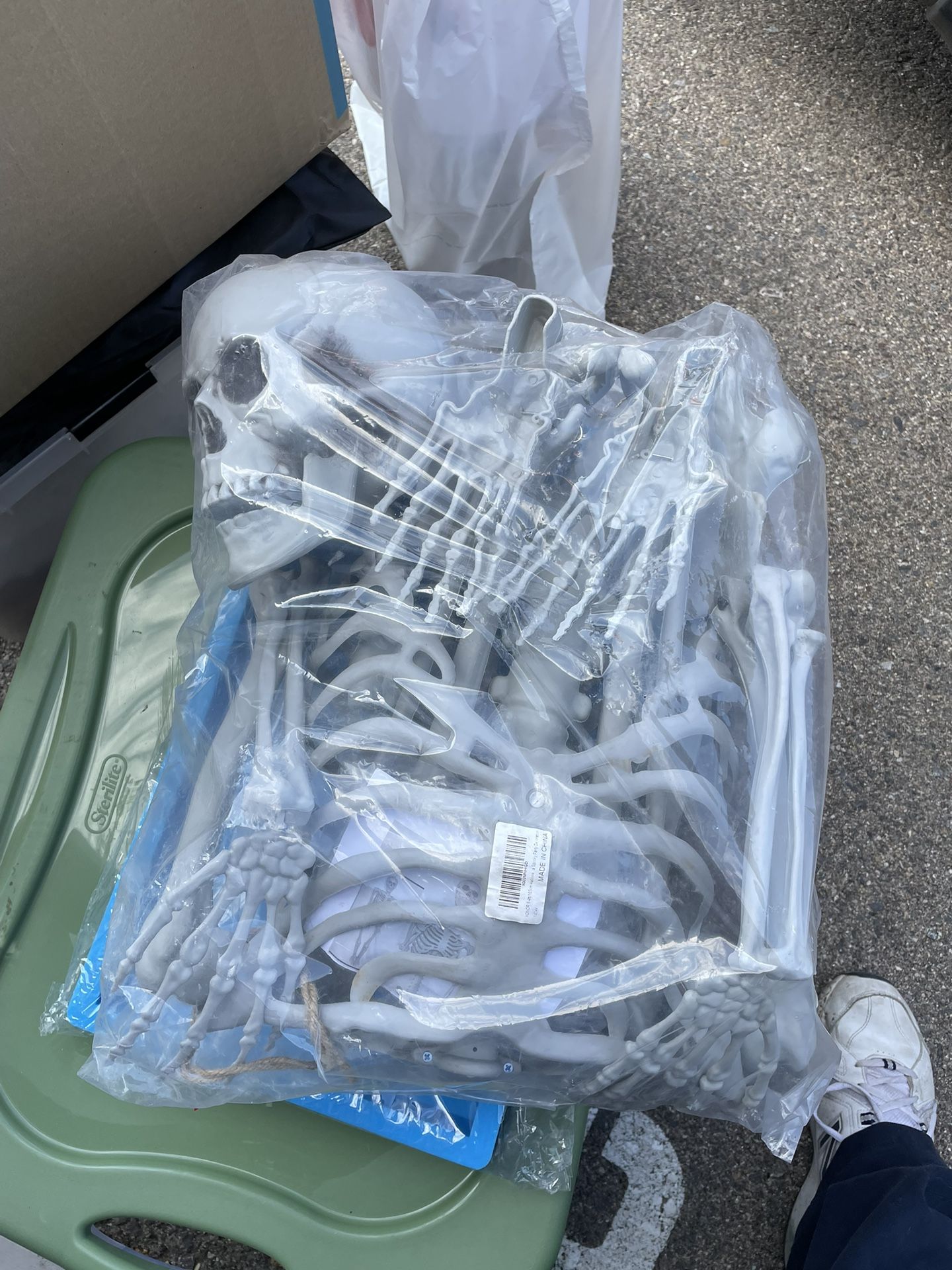 Life size Skeleton About 5’ 5” Posable. Brand New