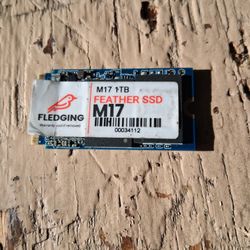 Fledgling   1TB SSD