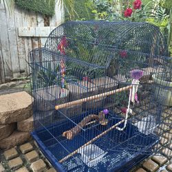Bird Cage 