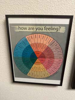 Feelings wheel photo with frame