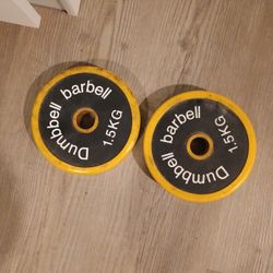 Weights For Dumbbell Curls Sepeecire